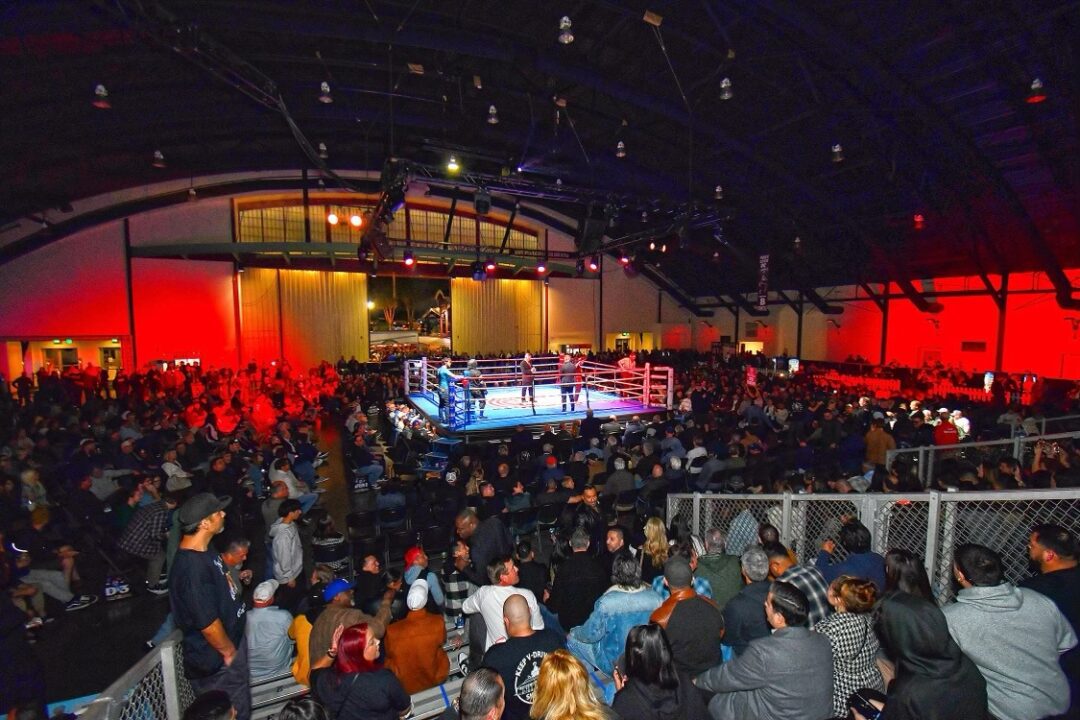 A Night of Boxing, MMA, KOs and… SWORD FIGHTS!