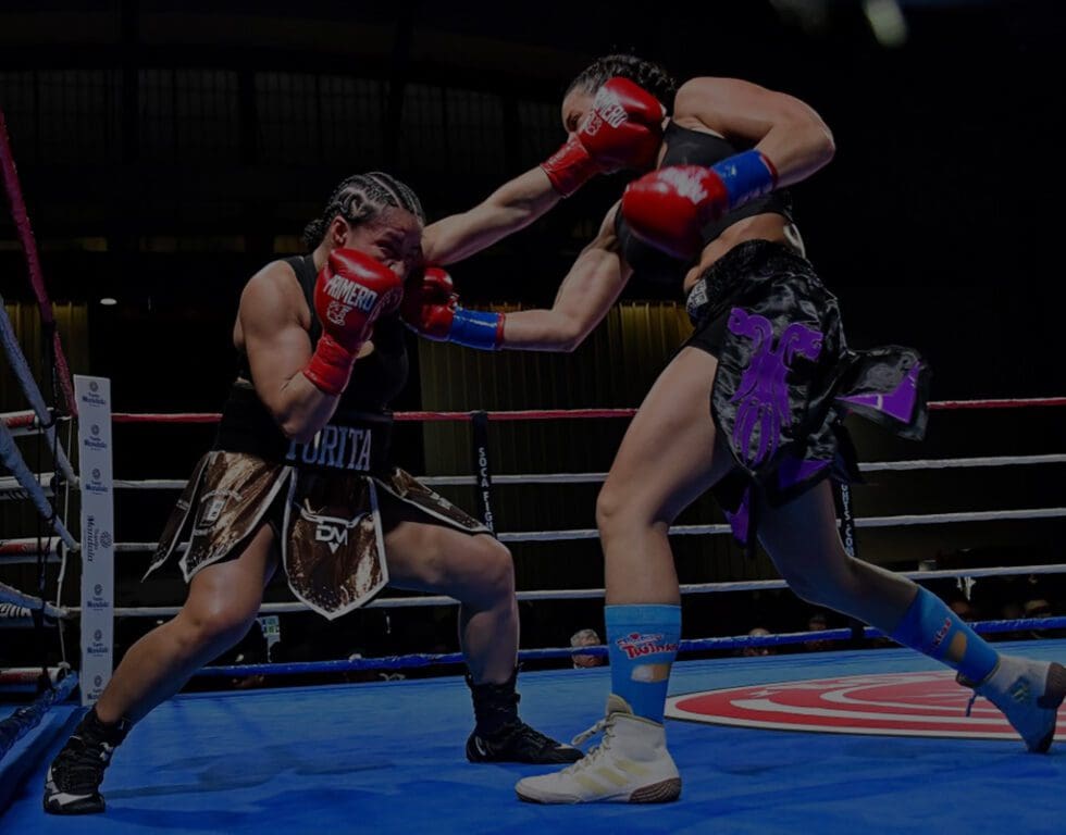 Southern California MMA & Boxing Events | SOCA Fights